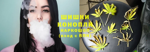 прущая мука Нея