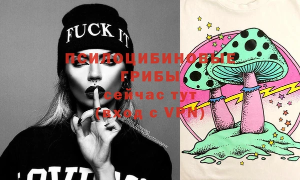 прущая мука Нея